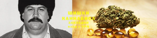 гидра Нягань