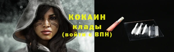 прущие грибы Нязепетровск