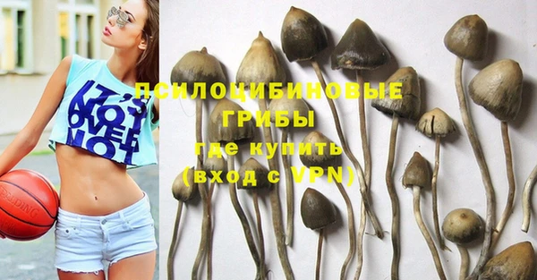 синтетический гашиш Няндома