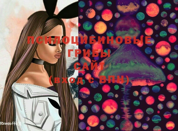 прущие грибы Нязепетровск
