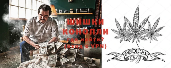 прущие грибы Нязепетровск