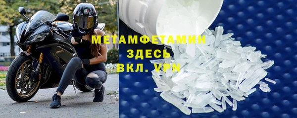 прущие грибы Нязепетровск