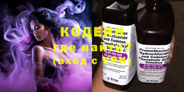 прущие грибы Нязепетровск