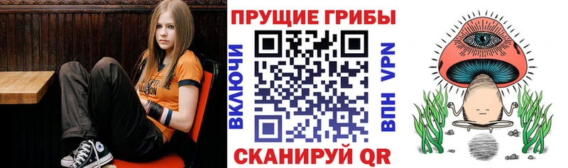Галлюциногенные грибы мухоморы Камызяк