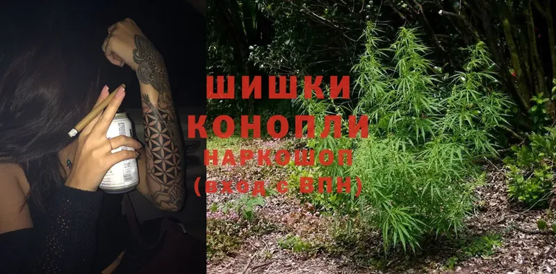 Канабис White Widow  Камызяк 